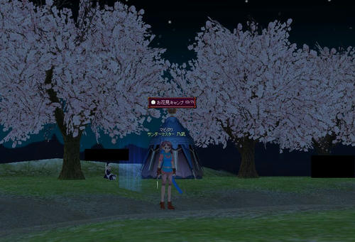 夜桜はきれいです