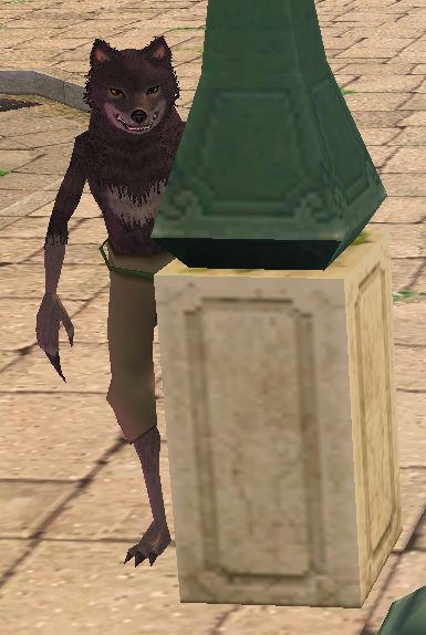 怖いっす
