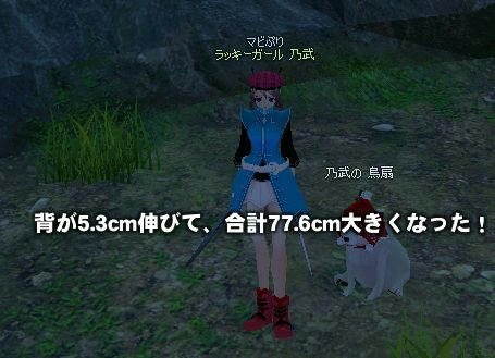 77.6cm