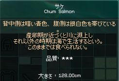 巨大サケ