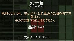 100cm.jpg