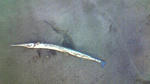 200911180623000.jpg