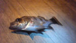 201004282115001.jpg
