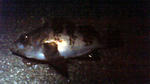 201005021944000_edited.jpg