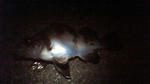 201005022023000_edited.jpg