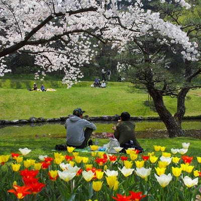 ラブホテル宇都宮JDへは、栃木県中央公園からも車ならビューンだよ