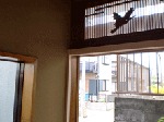 7b00bb26.gif