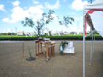 P1040554.gif