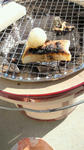 201101041134000.jpg
