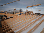 e100eba0.gif