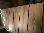 P1100857.gif