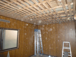 c0823fcf.gif