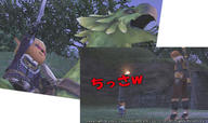 aa41466c.jpeg