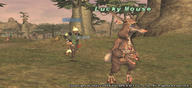 Lucky-Mouse1.jpg