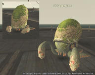 Louverance_root10.jpg