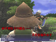 Louverance_root5.jpg