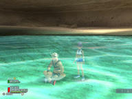 oasis2.jpg