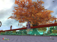 autumn.jpg