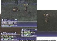 ACP02a.jpg