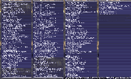 SummerFes2009b.gif
