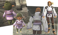 SummerFes2009c.jpg