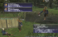 SummerFes2010d.jpg