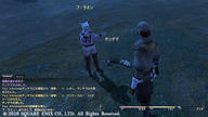 Court-in-the-Sands10.jpg