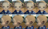 plfM1.jpg
