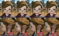 plfF2.jpg