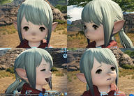 plfF3.jpg