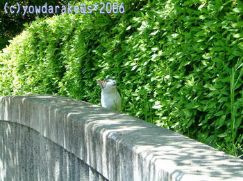 20060506b