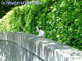 20060506c