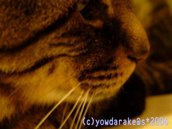 20060615