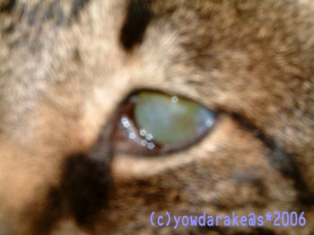 20060616