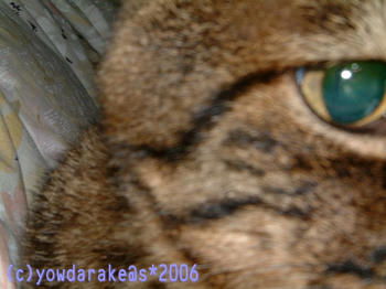 20060617