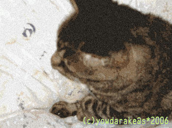20060622