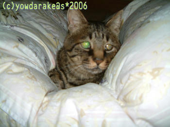 20060623