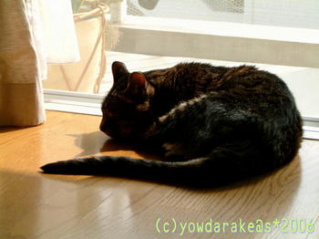 20060629