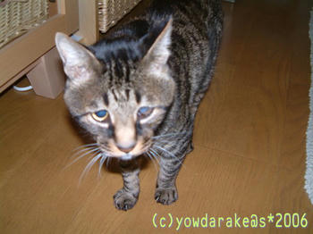 20060710