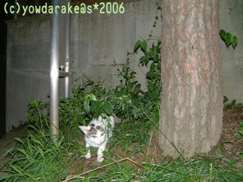 20060713b