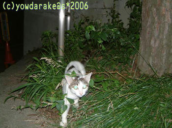 20060713c