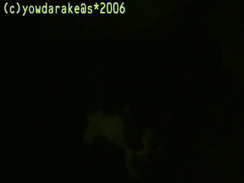 20060716-1-1