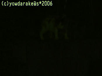 20060716-2-1