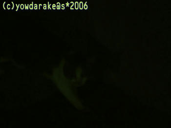 20060716-3-1