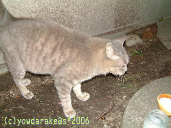20060718-2