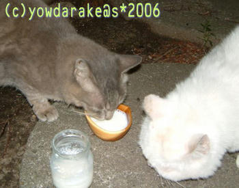 20060718-4