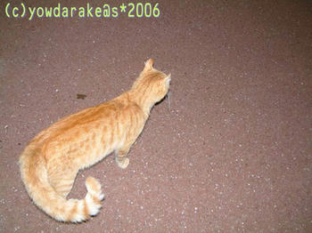 20060722-1