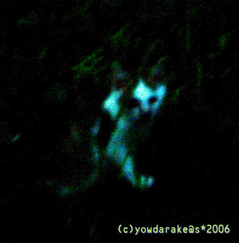 20060727