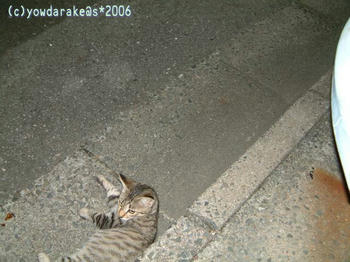 20060813-1