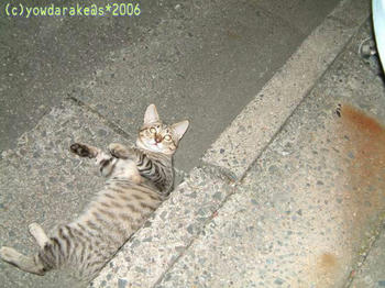 20060813-2